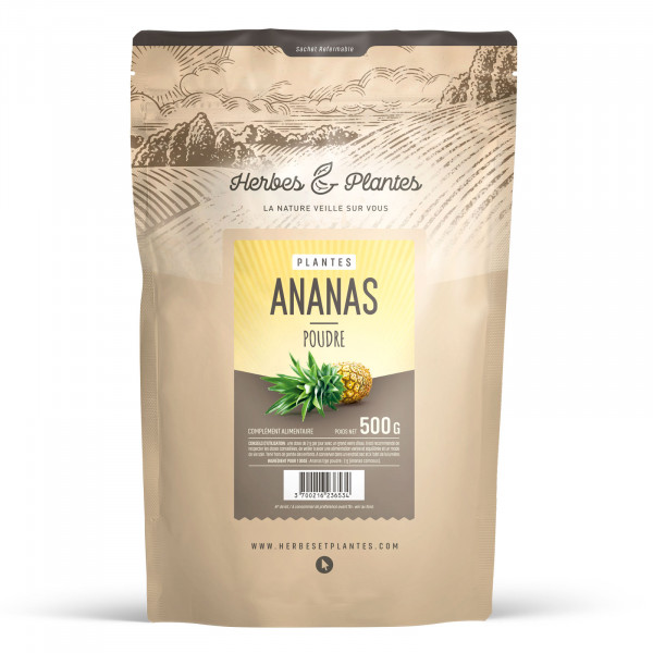 Ananas tige - 1 kg de poudre