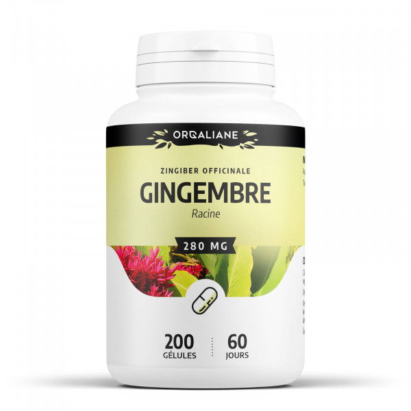 Gingembre - 200 gélules