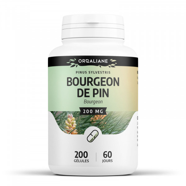 bourgeons de pins 200 mg 200 gélules