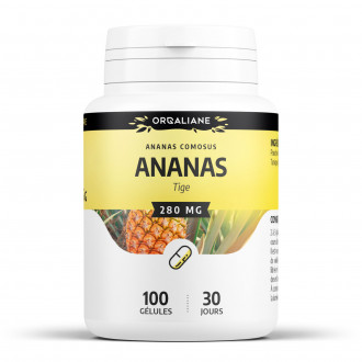 Ananas Tige - 280mg - 200 gélules
