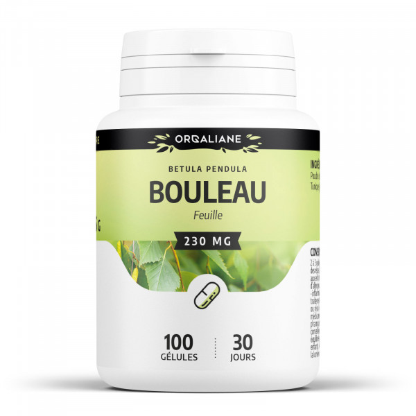 Bouleau - 230 mg - gélules