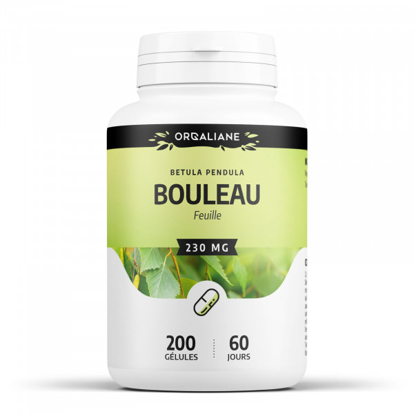 Bouleau - 230 mg - gélules