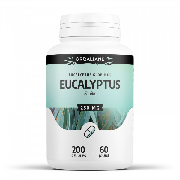Eucalyptus - 200 gélules