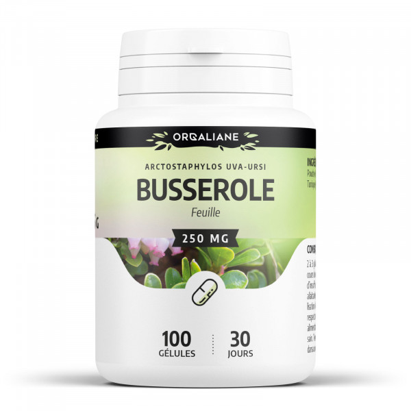 Busserole 250 mg - gélules