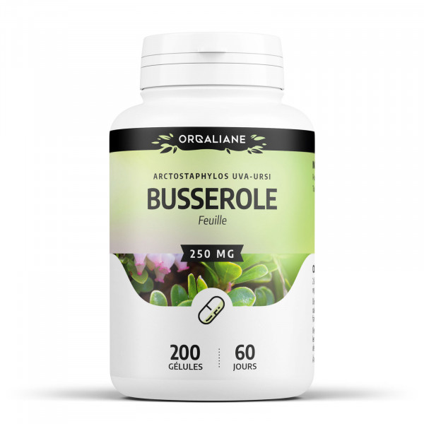 Busserole 250 mg - gélules