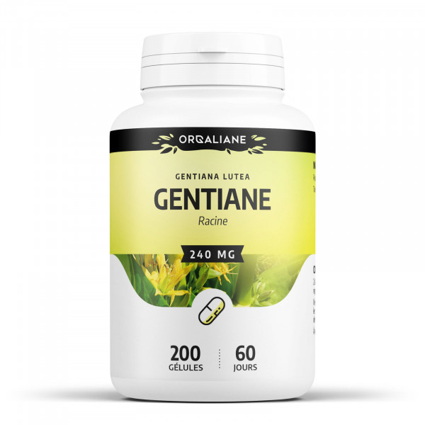 Gentiane 240 mg - Gélules