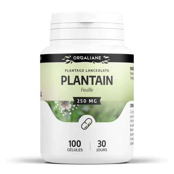 Plantain 250 mg - Gélules