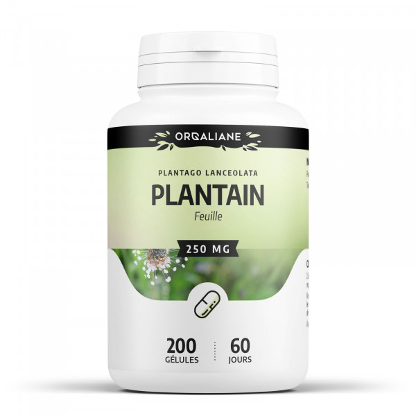 Plantain 250 mg - Gélules