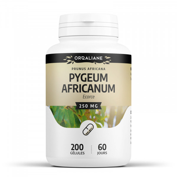 Pygeum africanum 250 mg - Gélules