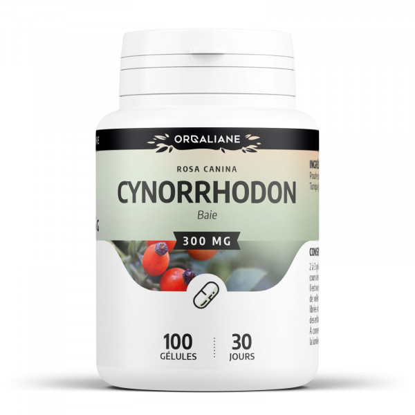 Cynorrhodon 300 mg - Gélules