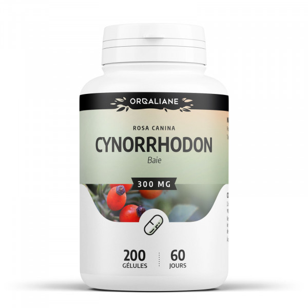 Cynorrhodon 300 mg - Gélules