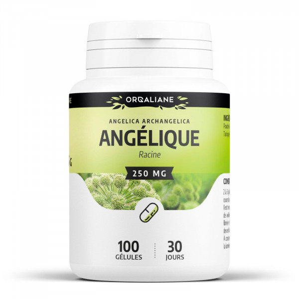 Angélique 250 mg - Gélules