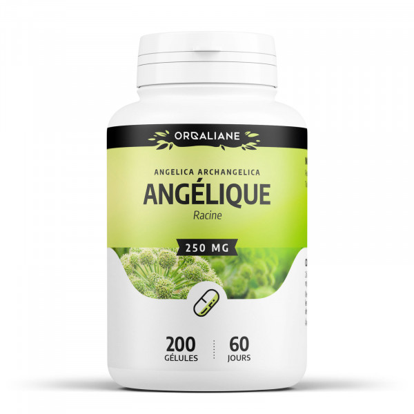 Angélique 250 mg - Gélules
