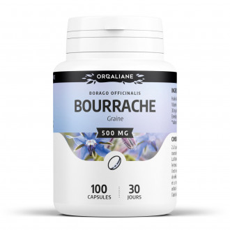 Bourrache 500 mg - capsules