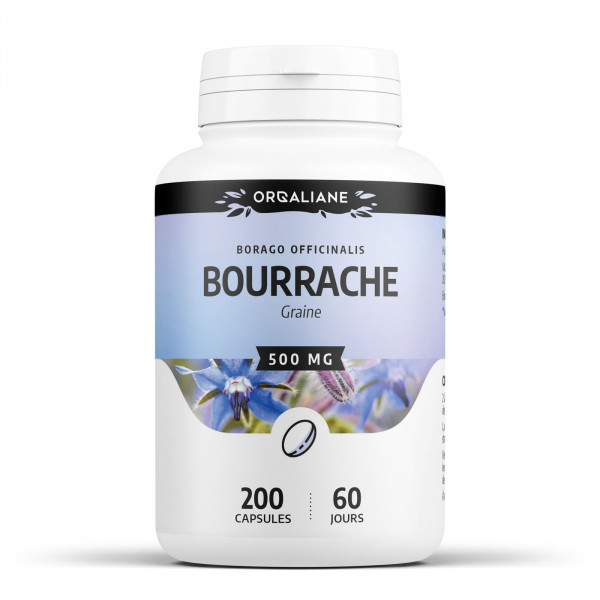 Bourrache 500 mg - capsules