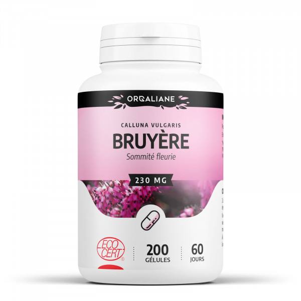 Bruyère Ecocert 230 mg - gélules