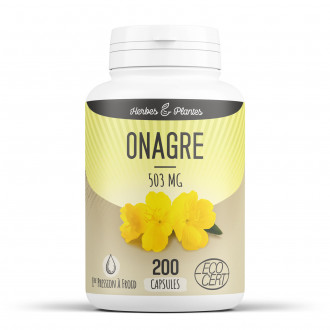 Onagre Ecocert - 503 mg - 200 capsules - Herbes & Plantes