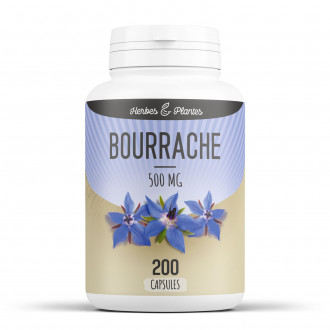 Bourrache - 500 mg - 200 capsules - Herbes & Plantes