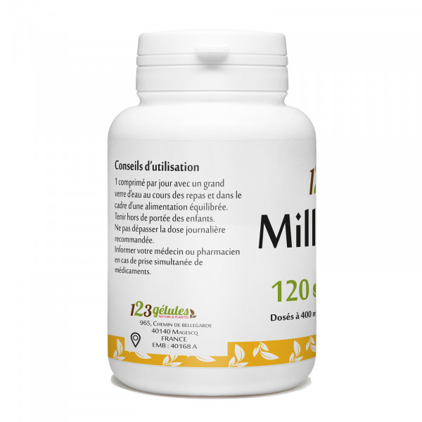 millepertuis- 400 mg - 200 comprimés