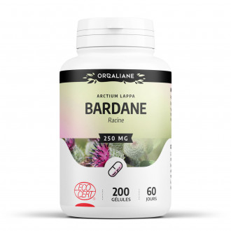 Bardane Ecocert 250 mg - gélules