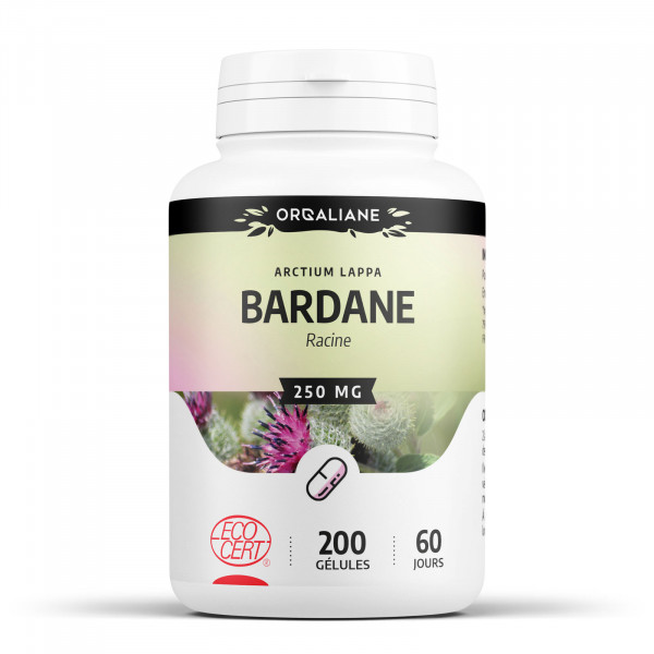 Bardane Ecocert 250 mg - gélules