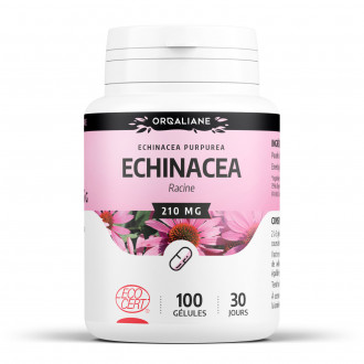 Echinacéa - 200 gélules