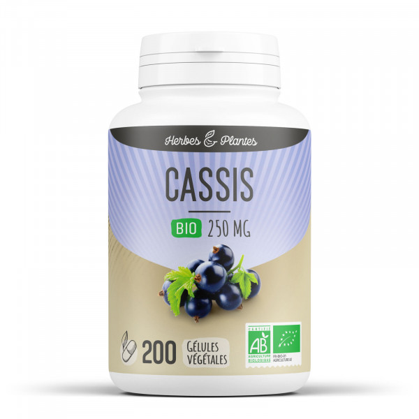 Cassis Bio - 250 mg - Gélules végétales