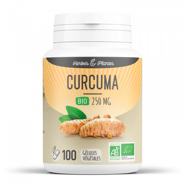 Curcuma Bio - 250 mg - Gélules végétales