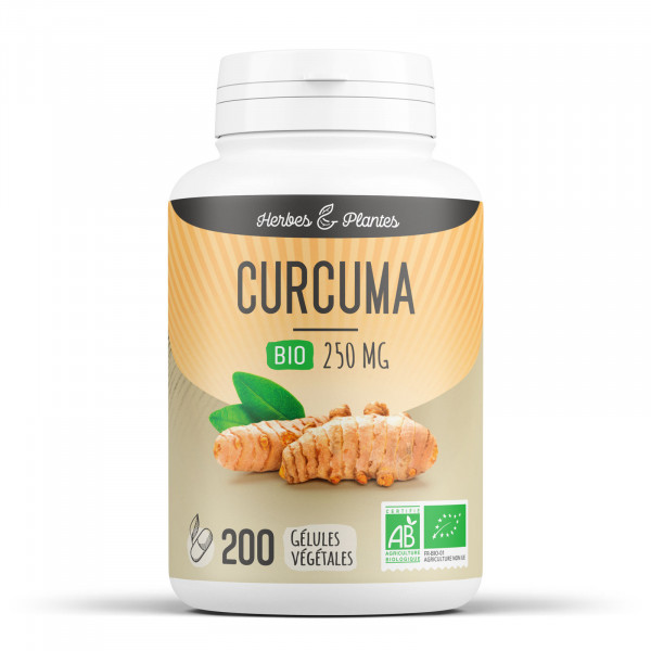 Curcuma Bio - 250 mg - Gélules végétales