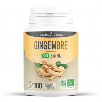 Gingembre Bio - 250 mg - Gélules végétales