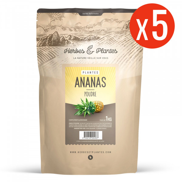 Ananas tige - 1 kg de poudre