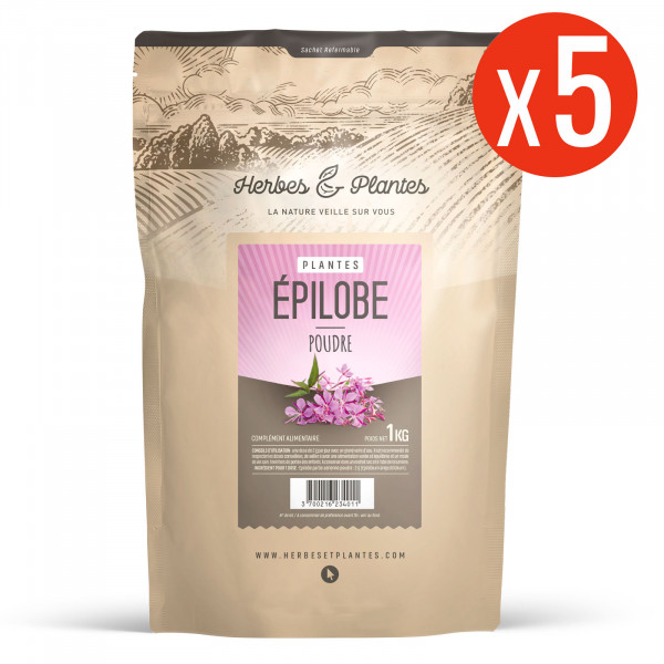 Epilobe - Poudre 1 kg