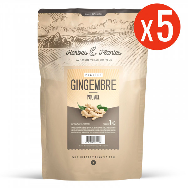 Gingembre- 1 Kg de poudre