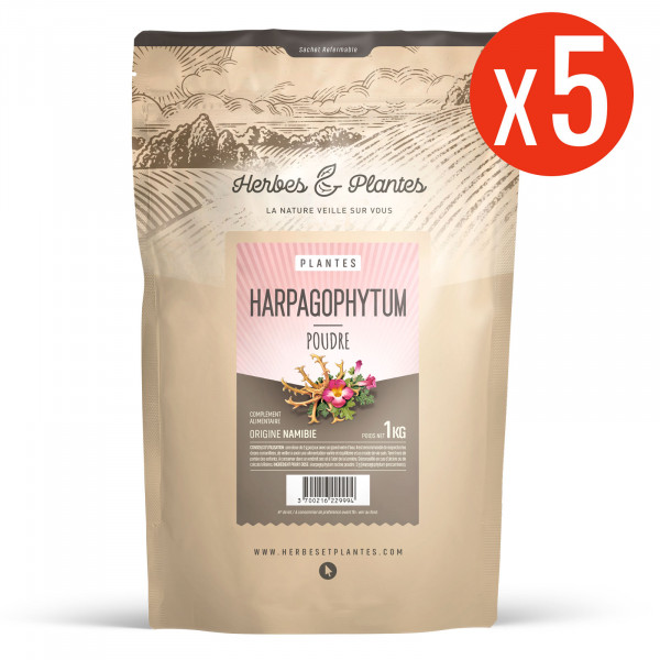 Harpagophytum poudre 1kg