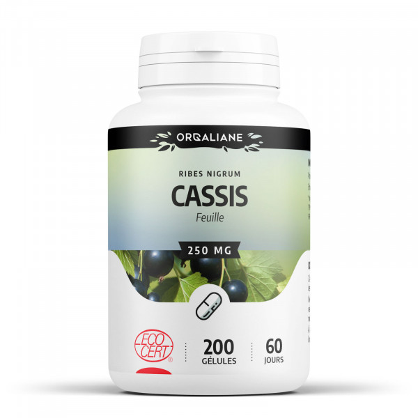 Cassis Ecocert - Gélules