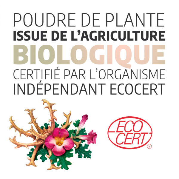 Harpagophytum bio - 200 gélules