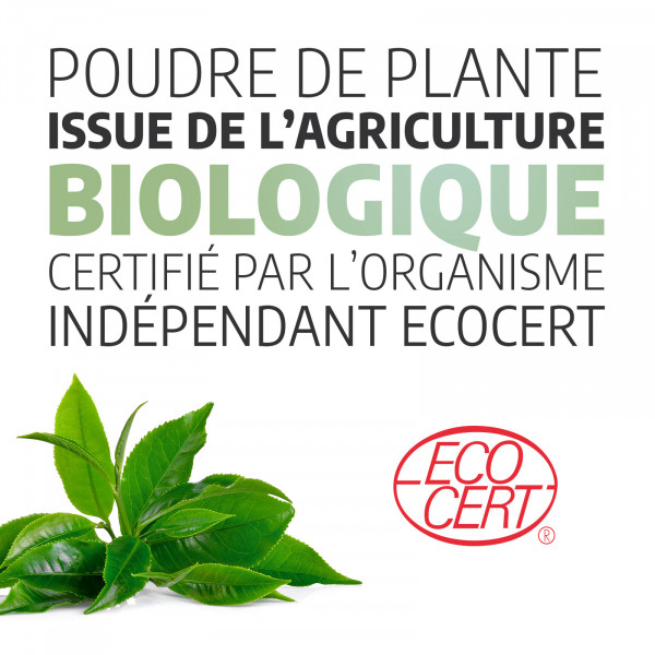 Thé Vert 250mg - Gélules ecocert