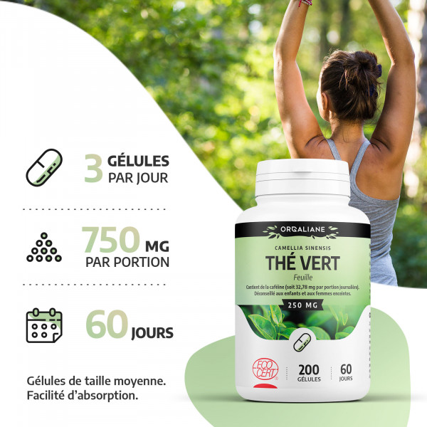 Thé Vert 250mg - Gélules ecocert