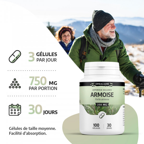 armoise- 250mg- 200 gélules