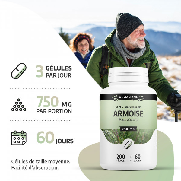 armoise- 250mg- 200 gélules