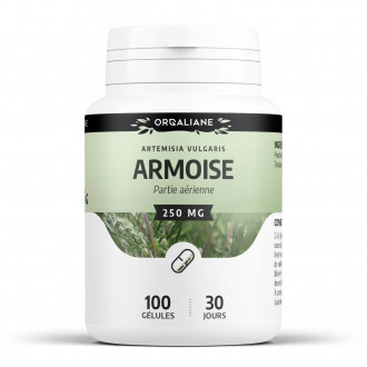 armoise- 250mg- 200 gélules