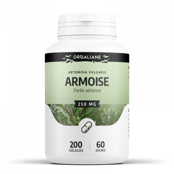 armoise- 250mg- 200 gélules