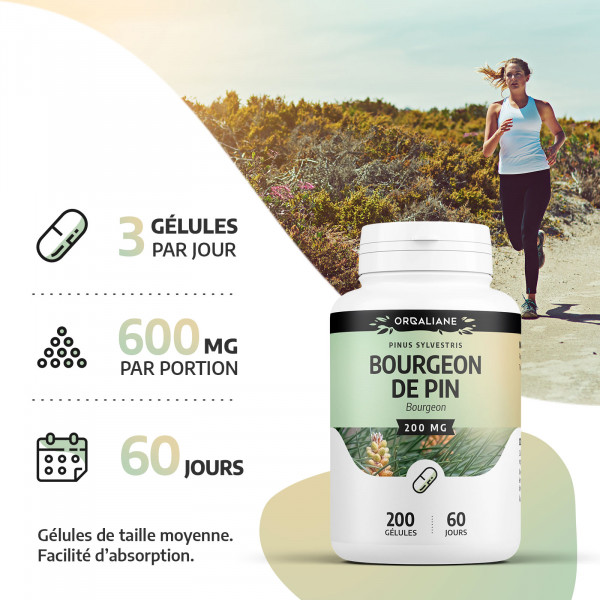 bourgeons de pins 200 mg 200 gélules