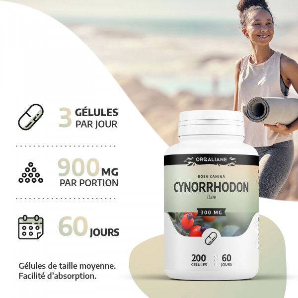 Cynorrhodon 300 mg - Gélules