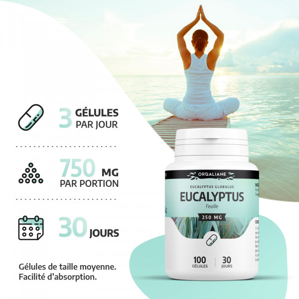 Eucalyptus - 200 gélules