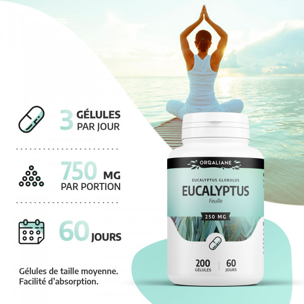 Eucalyptus - 200 gélules