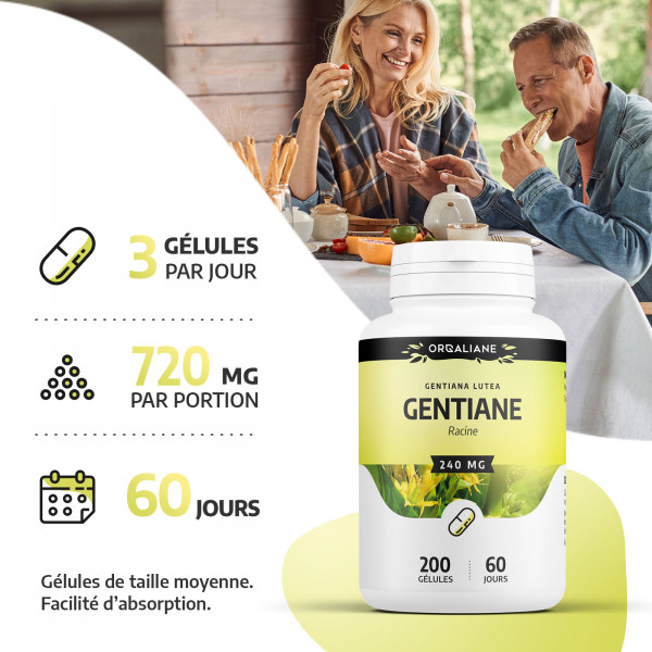 Gentiane 240 mg - Gélules