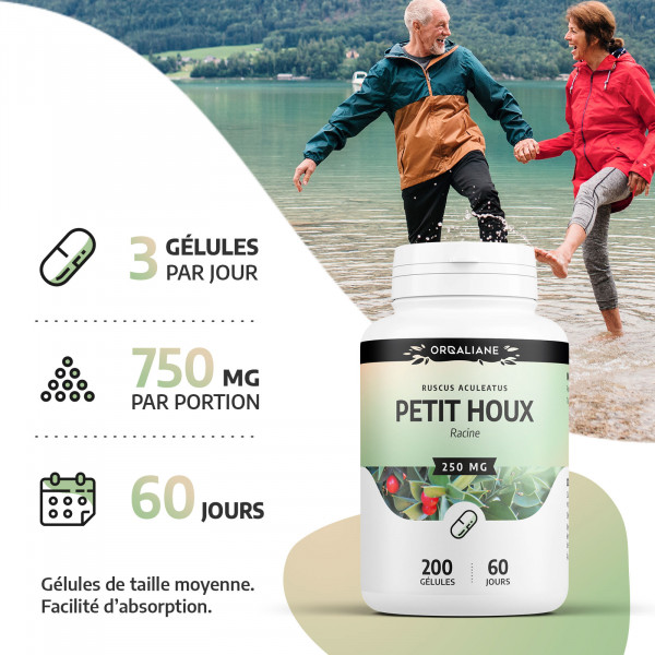 Fragon - 200 gélules