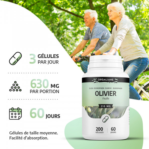 Olivier - 200 gélules