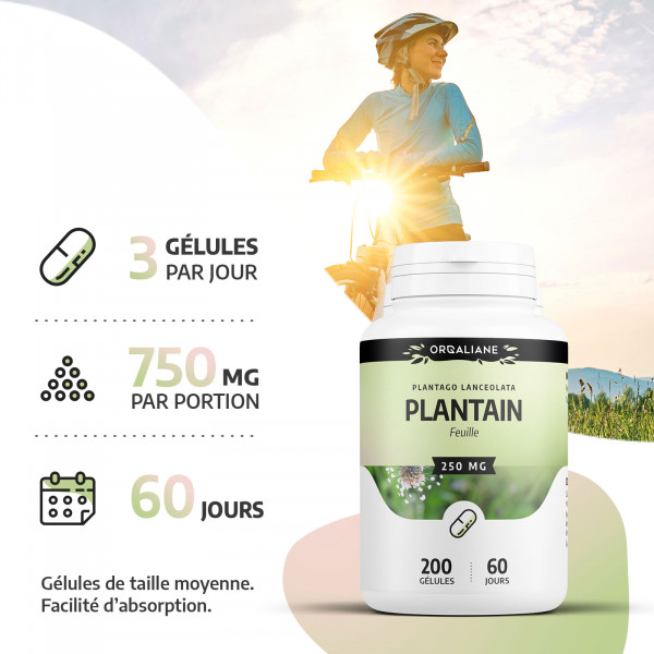 Plantain 250 mg - Gélules